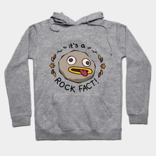 Rock Fact Hoodie